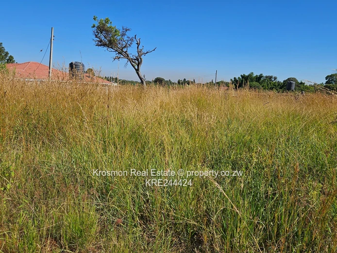 Open Grassy 2084m² Stand — Main Road Frontage, Airport