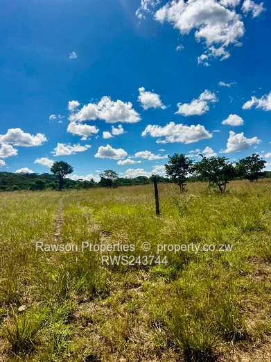 Gutu farm for sale 
