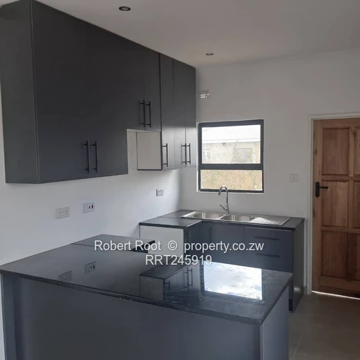 An investment opportunity (Sole Mandate)