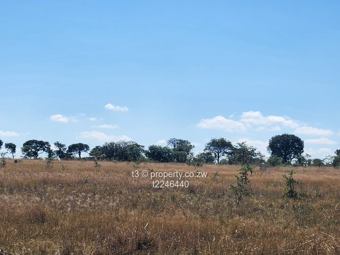  Darwendale Farm - 400 hectares 