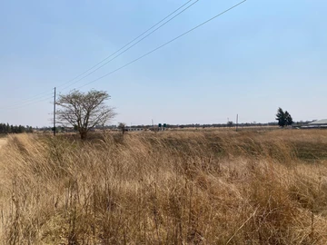 Farm & Agricultural Land