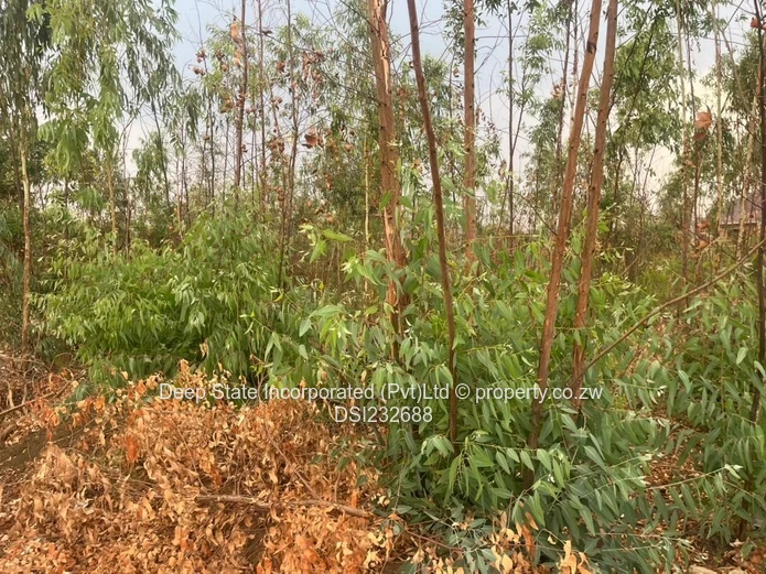 Cold comfort stand for sale (Gated community) 