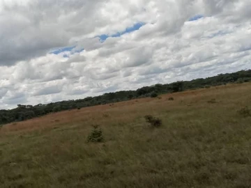 Farm & Agricultural Land