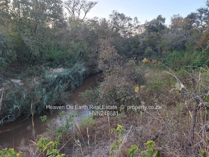 Plots with a river