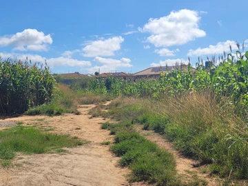 Stands & Residential Land