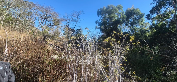 Nyanga stands for sale 15usd per square 