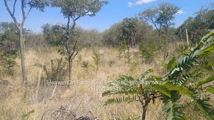Plots for sale