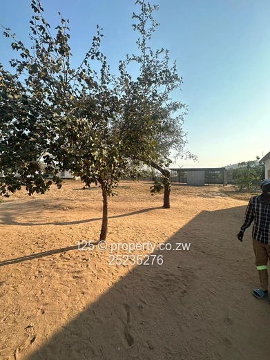 Chinhoyi Industrial Workshop for Sale