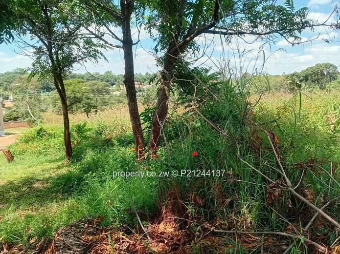 Borrowdale Brooke Road