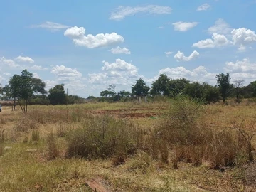 Stands & Residential Land