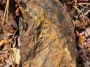 Commercial & Industrial Land