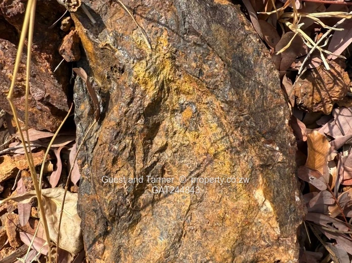 Makaha Gold Mine Opportunity