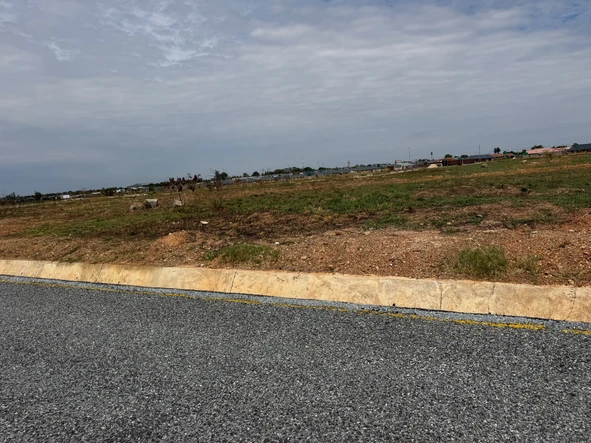 Stands & Residential Land