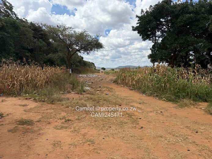 Open 13,000 m² Kuwadzana Extension Lot — Subdividable, Serviced (Sole Mandate)