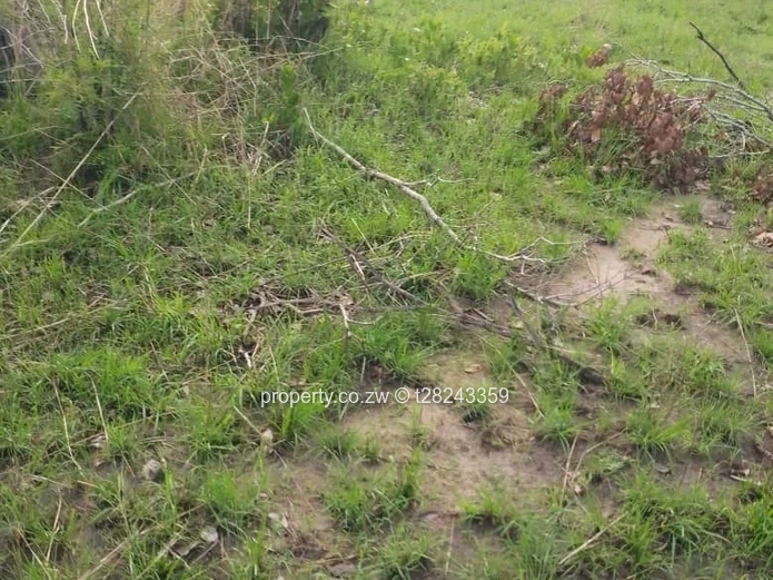 Elizabeth Park Main Road Frontage Opposite KFC (Sole Mandate)