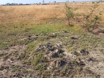 Commercial & Industrial Land