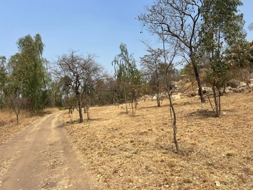 Farm & Agricultural Land