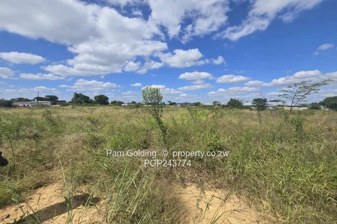 Buena Vista Residential Stand 