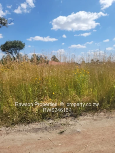 Prime land for sale (Sole Mandate)