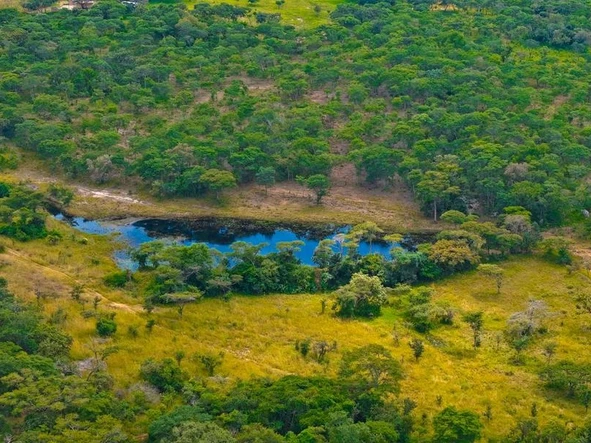 Farm & Agricultural Land