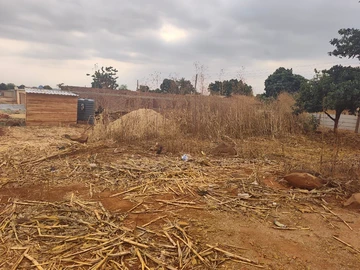 Stands & Residential Land