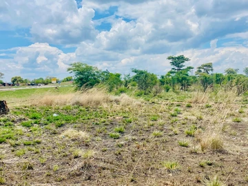 Farm & Agricultural Land