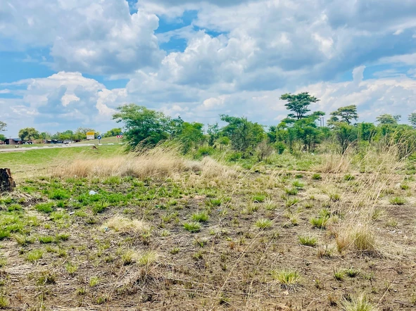 Farm & Agricultural Land