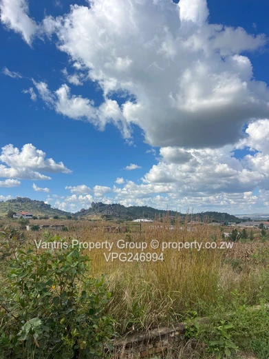 Palm village stands for sale !! 