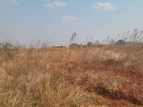 Stands & Residential Land