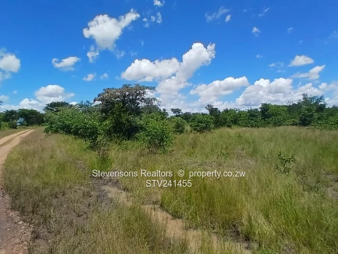 Clonmoran Stands, Halfway Road, Kadoma