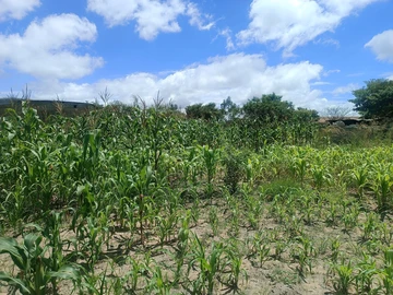 Residential Stand For Sale In Ruwa