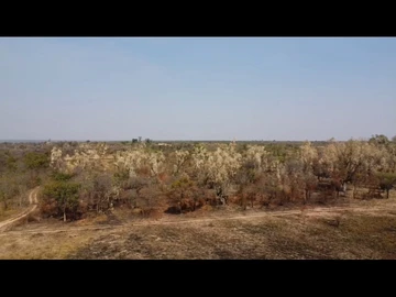 Farm & Agricultural Land