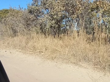 Farm & Agricultural Land