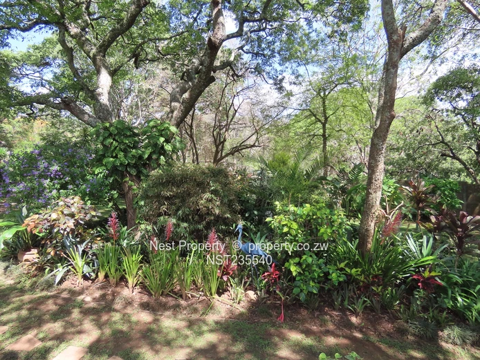 Character Family Home for rent in Glen Lorne!