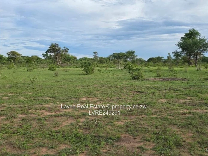 PRIME PRIVATE SCHOOL STAND HALFWAY in KADOMA 1.96ha
