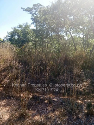 1100sqm Land in Northgate Heights with Deeds!