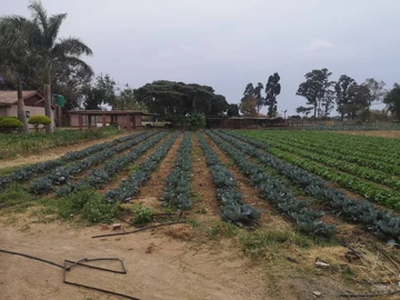 Farm & Agricultural Land