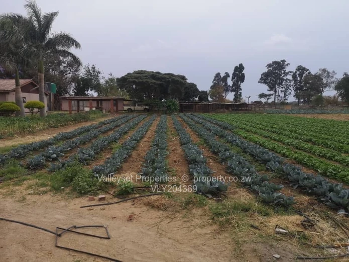 Established horticulture business and stunning home all in one located in  the Snake Park.