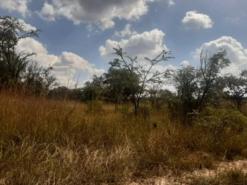 Farm & Agricultural Land