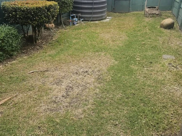 2 Bedroom Flat & Apartment