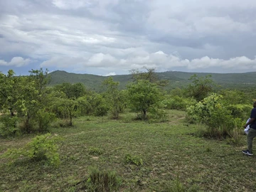 Farm & Agricultural Land