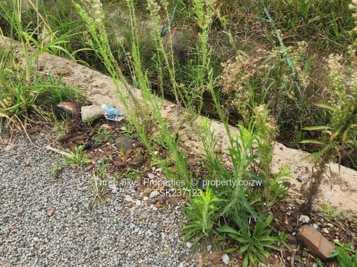 Budiriro Close To Cabs Houses 