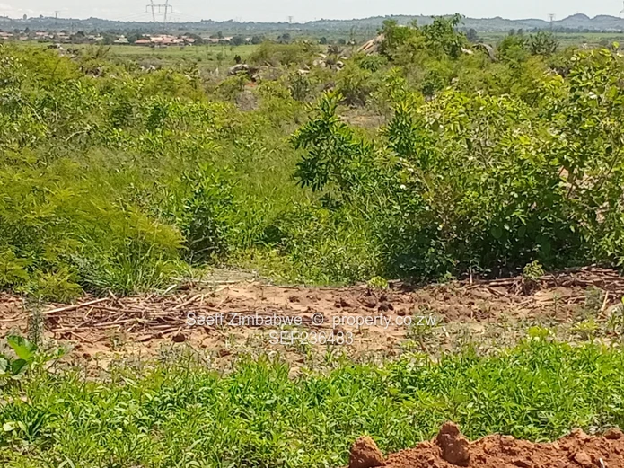 Great investment opportunity in Rydale Ridge (Sole Mandate)