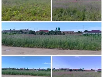 Stands & Residential Land