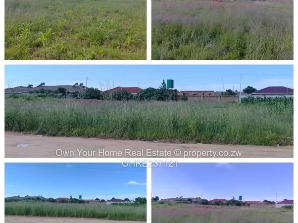 Southlea Park stand for sale 