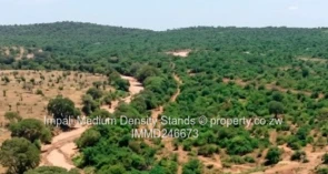 Introducing – “Impali Medium Density Stands