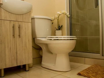 2 Bedroom Flat & Apartment