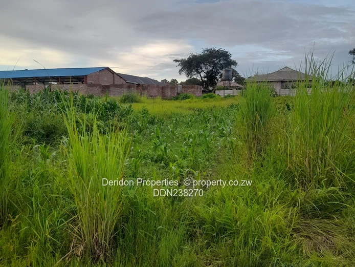 Build your dream home  (Sole Mandate)