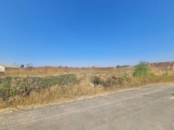 Stands & Residential Land