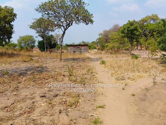 Crowhill 1300sqm Stand – Affordable Deal with Full Paperwork!